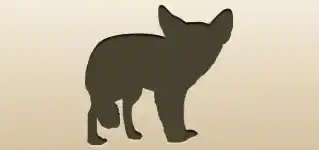 Fennec Fox