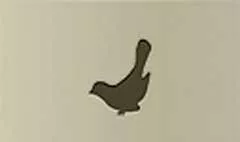 鳥のシルエット