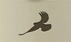 鳥のシルエット