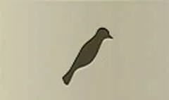 鳥のシルエット