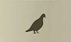 鳥のシルエット