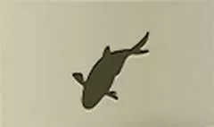 魚のシルエット
