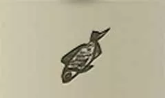 魚のシルエット