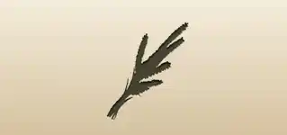 小麦の穂