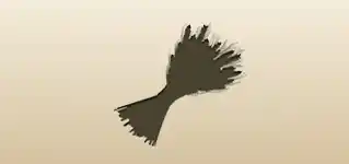 小麦の穂