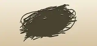 鳥の巣