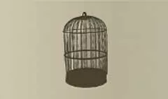 Birdcage
