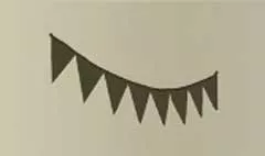Bunting Flags