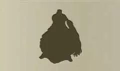 Perfume Bottle
