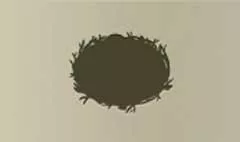 Nest