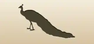 クジャク