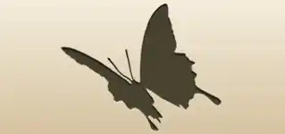 ちょう