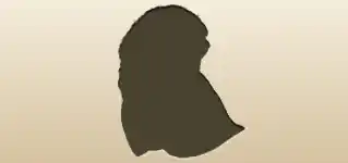 兜