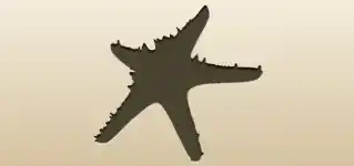 ヒトデ
