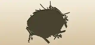 鳥の巣