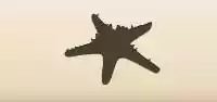 Starfish