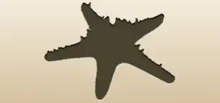 ヒトデ