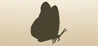 ちょう