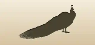 クジャク