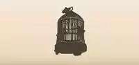 Birdcage