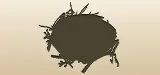 鳥の巣