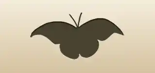 ちょう