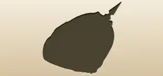 兜
