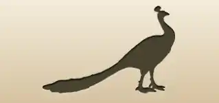 クジャク