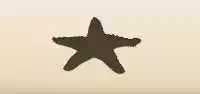 Starfish