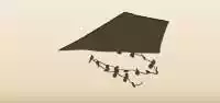 Kite