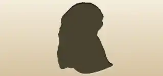 兜