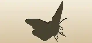 ちょう