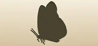 ちょう