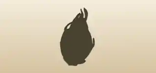 Dragon Fruit silhouette