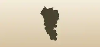 Grapes silhouette