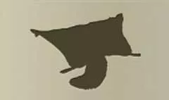 ムササビのシルエット
