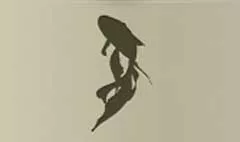 魚のシルエット