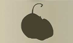 Pears silhouette