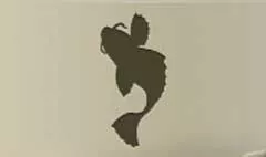 魚のシルエット