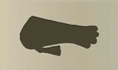 Falconry Glove silhouette