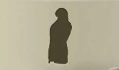 ハヤブサのシルエット