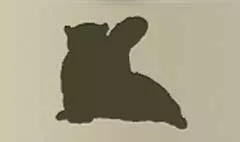 ユキヒョウのシルエット