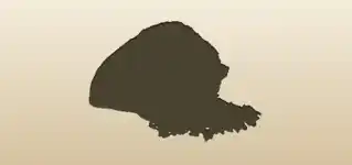 Sack of Rice silhouette