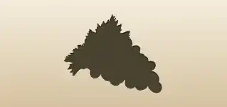 Grapes silhouette