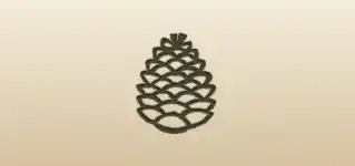 Pinecone silhouette