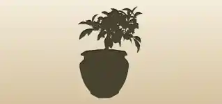 Kumquats silhouette