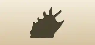 Shell silhouette