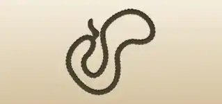 Prayer Beads silhouette
