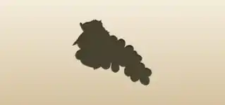 Grapes silhouette
