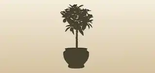 Kumquats silhouette